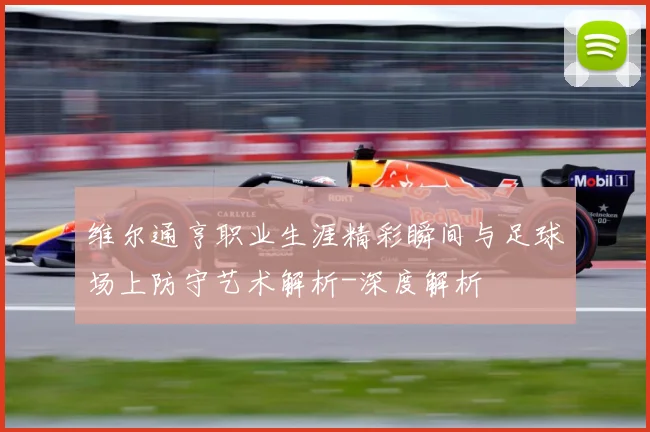 维尔通亨职业生涯精彩瞬间与足球场上防守艺术解析-深度解析