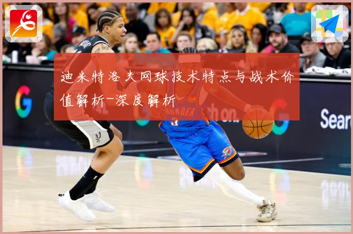 迪米特洛夫网球技术特点与战术价值解析-深度解析