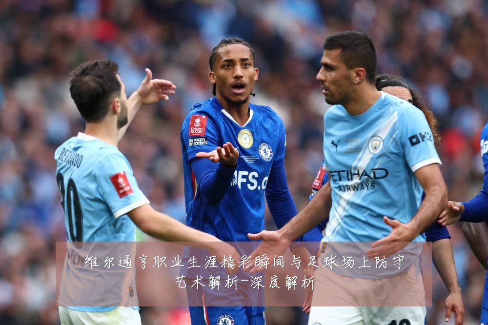 维尔通亨职业生涯精彩瞬间与足球场上防守艺术解析-深度解析